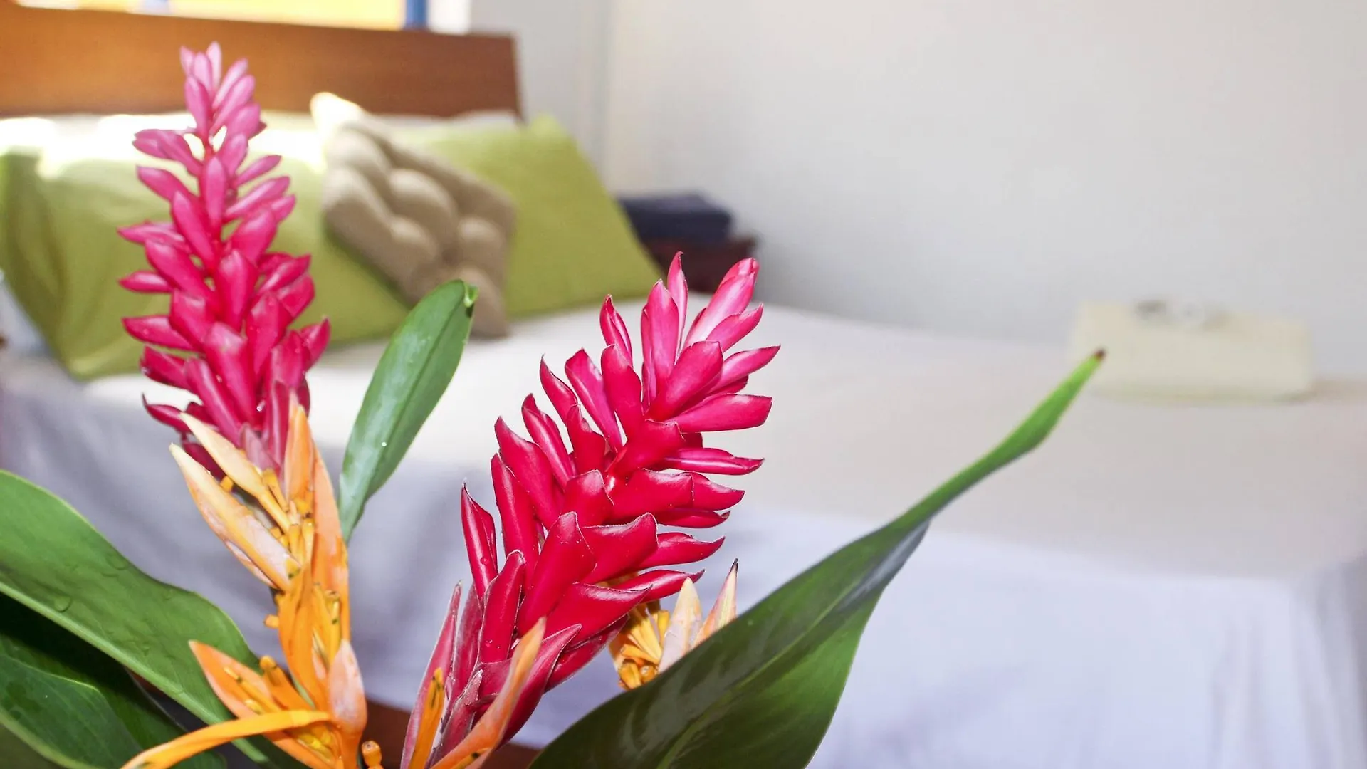 Vicky'S Holiday Apartment Beau Vallon
