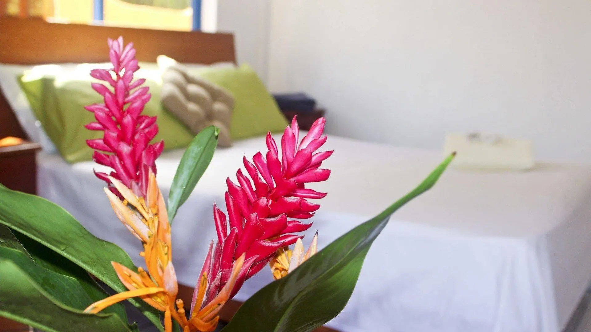 Vicky'S Holiday Apartment Beau Vallon  Seychelles